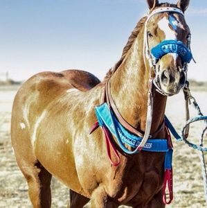 Meet your Posher, Javier